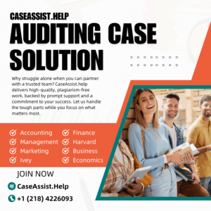 Auditing Case Solution